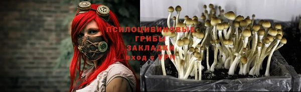 мяу мяу кристалл Баксан